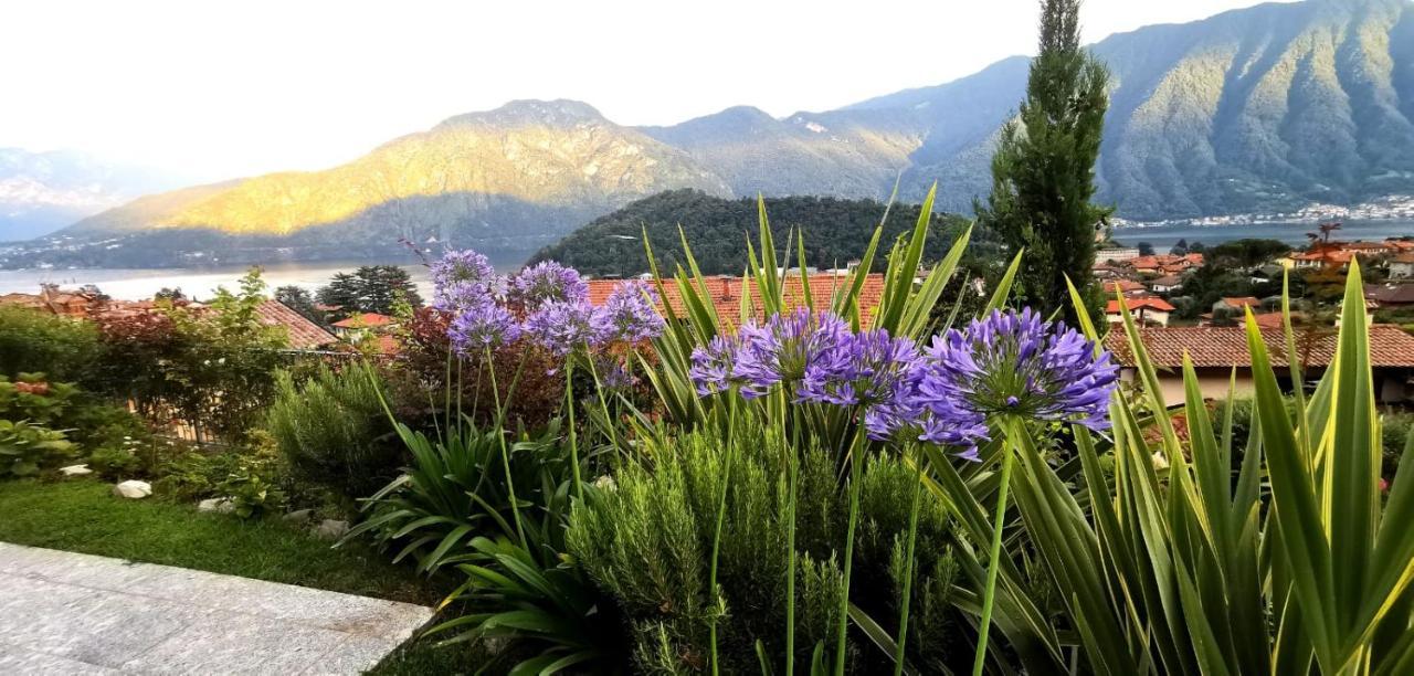 Magic Garden With Jacuzzi-Pool And Luxury Lake Como View Lenno Luaran gambar
